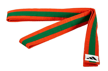 Adidas Martial Arts Belt orange/green Kampfsportgürtel