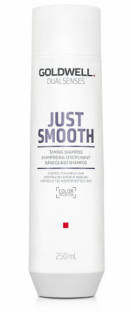 Goldwell Dualsenses Just Smooth Taming Shampoo Bändigendes Shampoo für widerspenstiges Haar