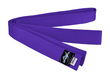 Ju-Sports Martial Arts Belt Purple Kampfsportgürtel