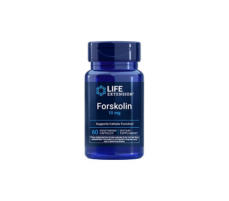 Life Extension Forskolin Extrakt aus Coleus forskohlii (Wurzel)
