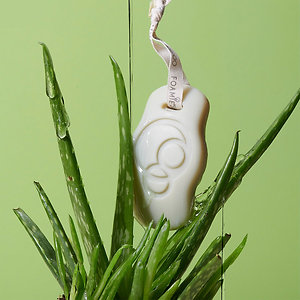 Foamie Aloe You Vera Much