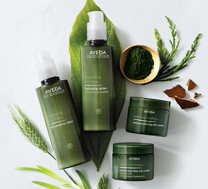 Aveda Botanical Kinetic