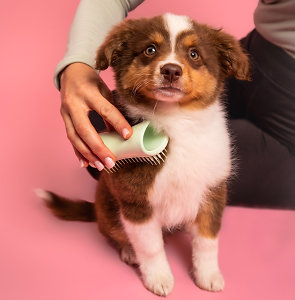 Darčeky pre domácich maznáčikov