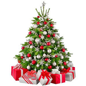 Best Christmas Gifts – floorball equipment that makes every player happy